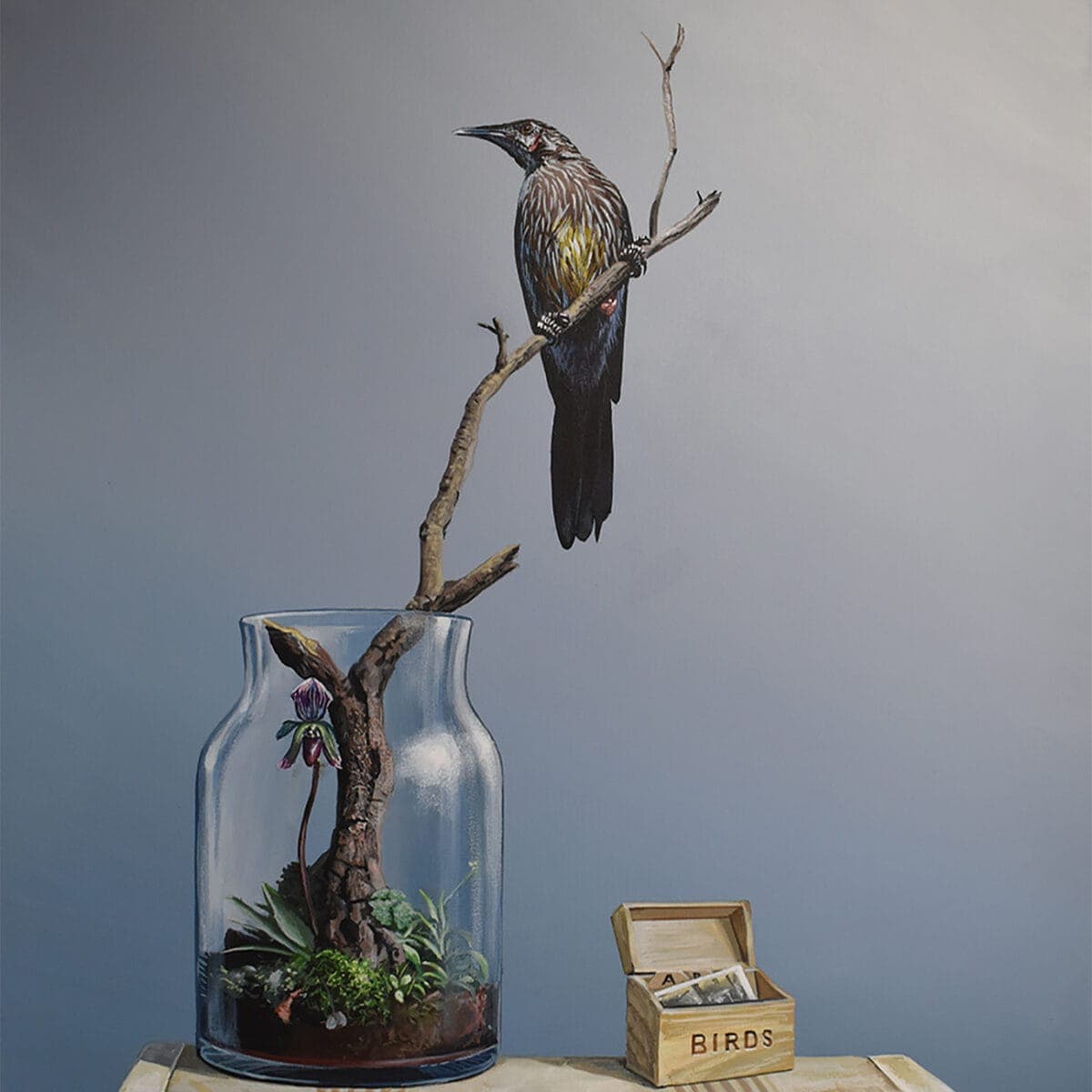 WEB Suitcase Wattle Bird 106.5 x 80cm acrylic on canvas