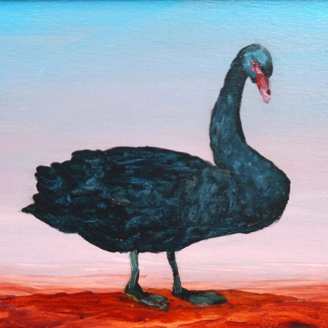"Black swan theory suggests that the black swan is a metaphor that describes an event that comes as a complete surprise. One can only wonder how early Northern hemisphere explorers would have perceived and reacted to seeing the first black swans." - DEAN REILLY 

'Odette Study' 20 x 25cm, 23 x 28cm framed acrylic on canvas on board $ 350.00
Free packing and shipping Australia wide 
