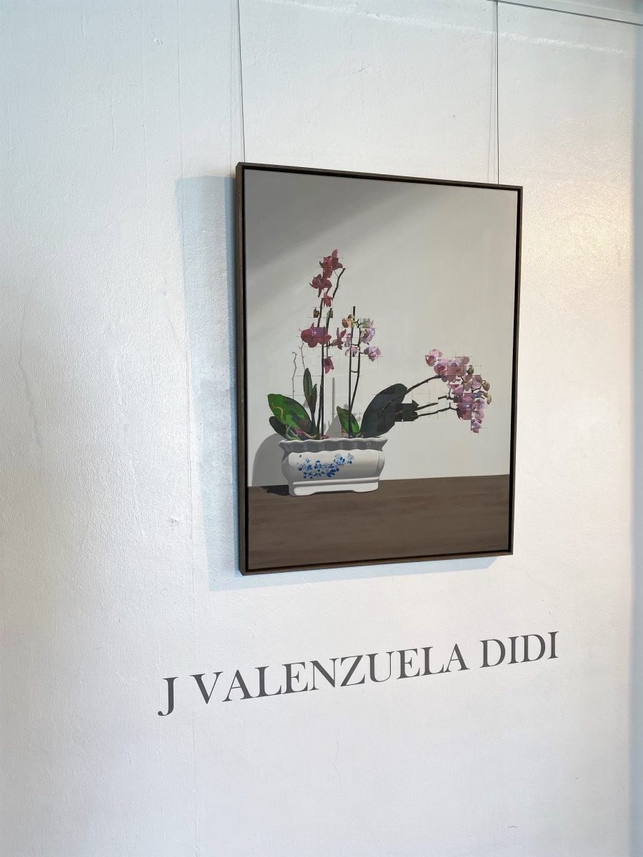 J Valenzuela Didi 2019 (6)